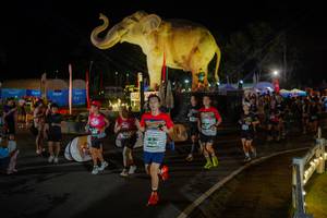 BIB: 
                            <button type="button" onclick="openModal(26552340)" class="btn btn-primary btn-sm float-right btn-popup" data-toggle="modal" data-target=".modal-high-quality">
                        <i class="fas fa-shopping-cart"></i> Add to Cart
                    </button>
                                            <button type="button" onclick="isThisMe(26552340, true)" class="btn btn-success btn-sm float-right btn-popup btn-isme hidden" data-toggle="tooltip" data-placement="bottom" title="นี่คือรูปของคุณใช่ไหม คลิกที่นี่เพื่อเอาเข้าอัลบั้ม">
                        <i class="fas fa-plus"></i> Add to album
                    </button>
                    <button type="button" onclick="isThisMe(26552340, false)" class="btn btn-warning btn-sm float-right btn-popup btn-isnotme hidden">
                        <i class="fas fa-ban"></i> Remove from album
                    </button>